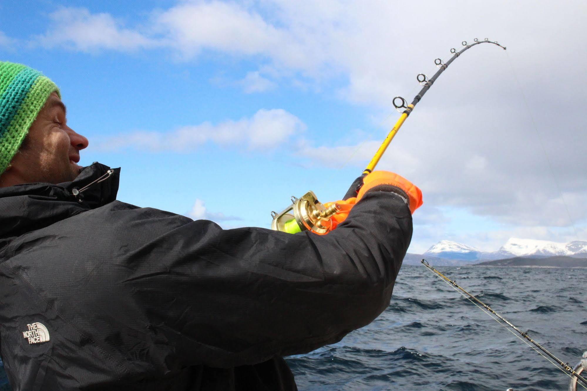 Tysfjord Storjord I Tysfjord
